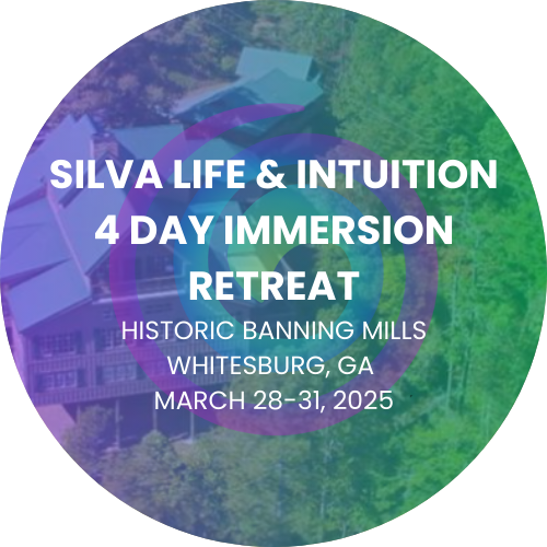 Historic Banning Mills in Whitesburg, GA | March 2025